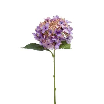 Dekoblume Hortensie CALESA, lila, 50cm