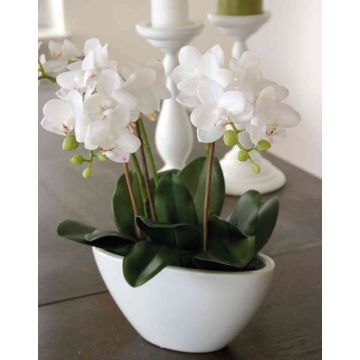 Kunststoff Phalaenopsis Orchidee JASMIN in Keramikschale, weiß, 40cm