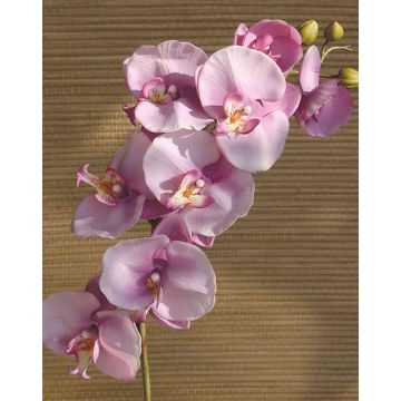 Kunstzweig Phalaenopsis Orchidee RICKY, rosa, 105cm