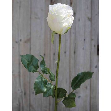 Kunststoffschaum Rose OPHELIE, creme-rosa, 85cm, Ø7cm