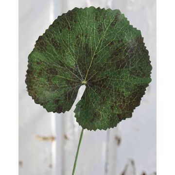 Künstliches Geranien Blatt HEIDEGARD, grün-rot, 38cm, Ø13cm