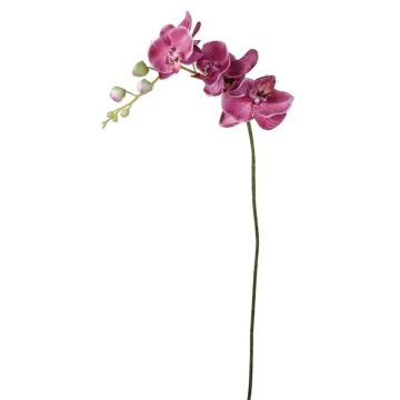 Dekozweig Phalaenopsis Orchidee AMARNE, pink, 90cm