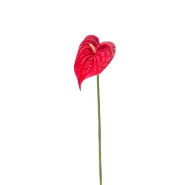 Kunst Blume Anthurium XYLON, rot, 50cm, 9x12cm