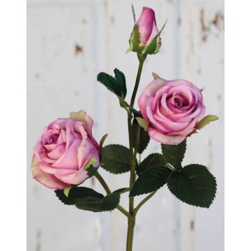 Samt Rose DELILAH, rosa, 55cm, Ø6cm