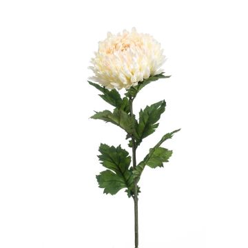 Dekoblume Chrysantheme LAZO, creme-rosa, 75cm