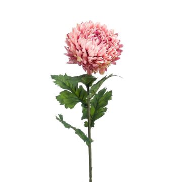 Dekoblume Chrysantheme LAZO, altrosa, 75cm