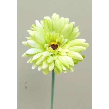 Kunstblume Gerbera TEUDELINDE, grün-creme, 55cm, Ø8cm