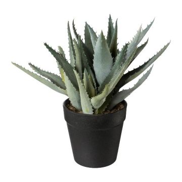 Kunstpflanze Sukkulente Aloe Vera BLORN im Dekotopf, grün, 23cm