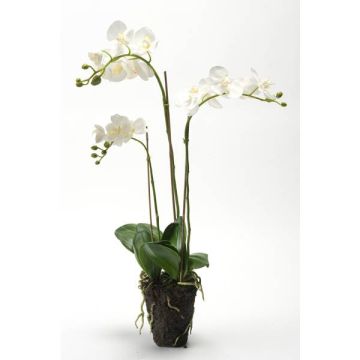 Deko Phalaenopsis Orchidee PABLA, Erdball, weiß, 70cm