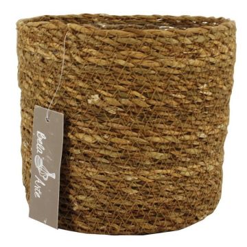 Seegras Korb AMPARO, beige, 12,5cm, Ø14cm