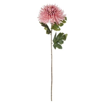 Samt Chrysantheme RUNDA, altrosa-pfirsich, 70cm, Ø18cm