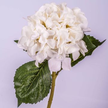 Kunst Hortensie GABRIELLA, creme, 50cm, Ø18cm