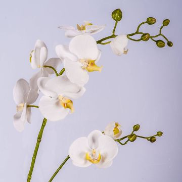 Deko Phalaenopsis Orchideen Zweig LAHNA, weiß, 95cm