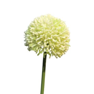 Kunstblume Allium BAILIN, creme-grün, 40cm