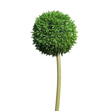 Kunstblume Allium BAILIN, grün, 65cm