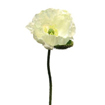 Dekoblume Mohnblume ANKANG, creme, 70cm