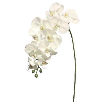 Kunstzweig Phalaenopsis Orchidee JUANRU, weiß, 100cm