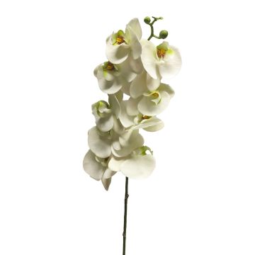 Dekozweig Phalaenopsis Orchidee SONGYA, weiß, 105cm