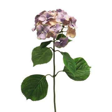 Dekoblume Hortensie MEITAO, lila-pfirsich, 70cm