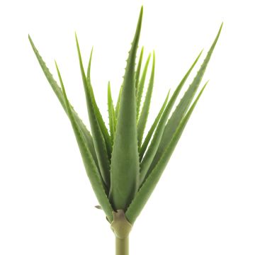 Kunst Sukkulente Aloe Vera DAHENG auf Steckstab, grün, 60cm