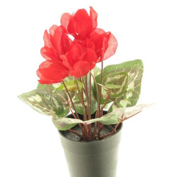 Künstliche Blume Alpenveilchen XIAOGUO im Dekotopf, rot, 25cm