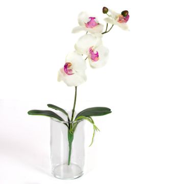 Deko Phalaenopsis Orchidee MADOU, Stecker, weiß-rosa, 40cm