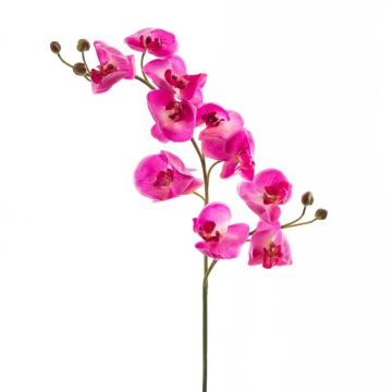 Kunststoff Phalaenopsis Orchideen Zweig STINA, pink, 90cm