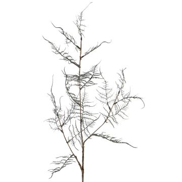 Kunst Asparagus acutifolius Zweig NYALA, dunkelgrün, 85cm