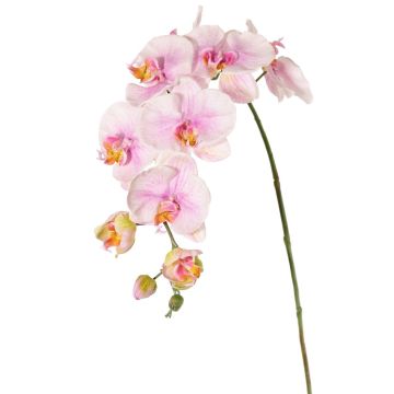 Künstlicher Blumenzweig Phalaenopsis Orchidee WESA, rosa-weiß, 100cm