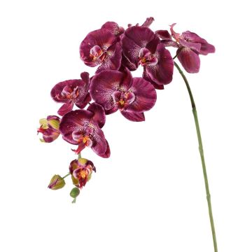 Künstlicher Blumenzweig Phalaenopsis Orchidee WESA, dunkelviolett-weiß, 100cm