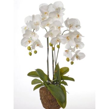 Dekoorchidee Phalaenopsis SATRIA im Erdball, weiß, 75cm