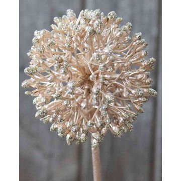 Unechter Allium HELLA, Glitzer, champagner, 45cm, Ø8cm