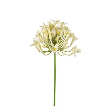 Kunst Agapanthus PHILINA, creme, 75cm, Ø14cm