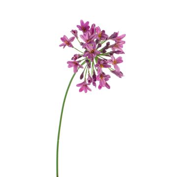 Kunst Agapanthus PHILINA, violett, 75cm, Ø14cm