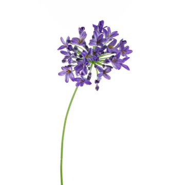 Kunst Agapanthus PHILINA, lila, 75cm, Ø14cm