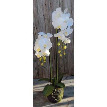 Kunststoffschaum Phalaenopsis Orchidee VEENA im Erdball, weiß, 80cm