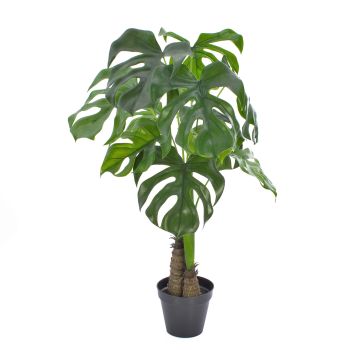 Deko Philodendron Monstera Deliciosa FABIUS, crossdoor, 90cm