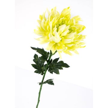 Deko Chrysantheme KESARA, creme-grün, 65cm, Ø16cm