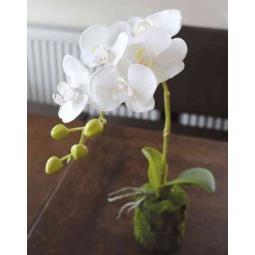 Kunststoffschaum Phalaenopsis Orchidee VEENA im Erdball, weiß, 40cm