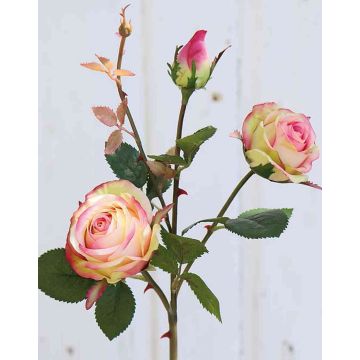 Samt Rose DELILAH, rosa-grün, 55cm, Ø6cm