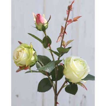 Samt Rose DELILAH, creme-grün, 55cm, Ø6cm