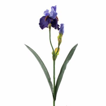Kunst Iris ALYSSA, blau, 70cm, Ø13cm
