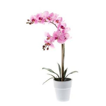 Deko Phalaenopsis Orchidee CANDIDA im Keramiktopf, rosa, 65cm