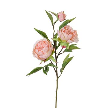 Textilzweig Pfingstrose MANJA, rosa, 70cm, Ø8-10cm