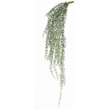 Deko Senecio Hänger KANELO, Stecker, grün-grau, 80cm