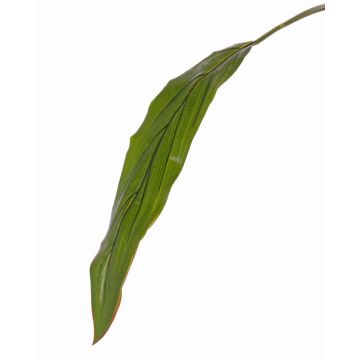 Deko Keulenlilien Blatt ELARA, grün, 90cm