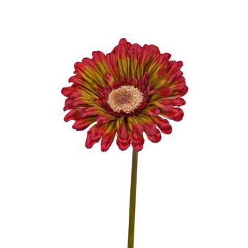 Kunst Gerbera ANNEMARIE, rot-grün, 50cm, Ø10cm