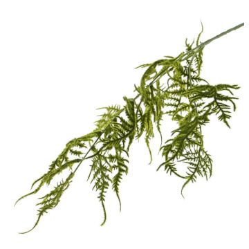 Deko Asparagus plumosus Zweig CHRISTIAN, grün, 85cm