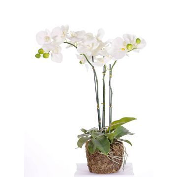 Deko Phalaenopsis Orchidee MARGIT im Erdball, weiß, 65cm