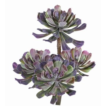 Kunst Aeonium ELOISE zum Stecken, violett-grün, 30cm, Ø20cm